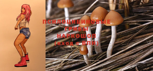 метадон Аркадак