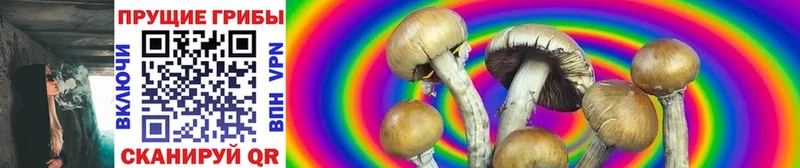 MEGA как зайти  наркотики  Приволжск  Галлюциногенные грибы GOLDEN TEACHER 